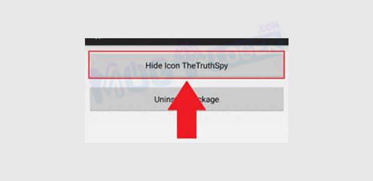 Hide Icon TheTruthSpy