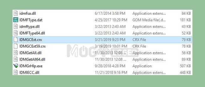 file IDMGCExt.crx
