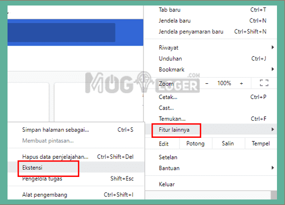 ekstensi IDM di chrome