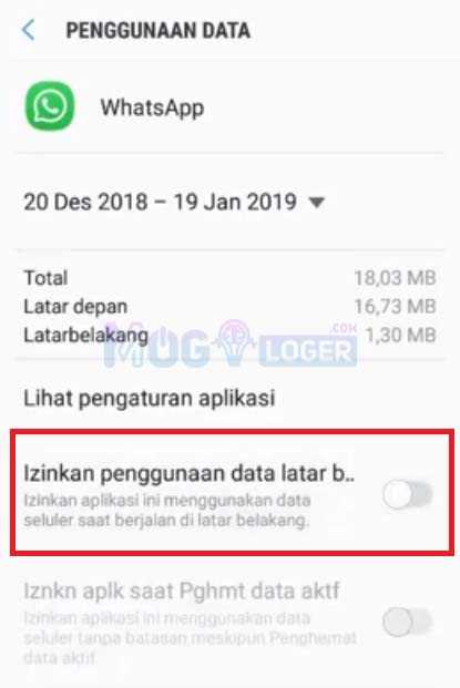 izinkan penggunaan data latar belakang