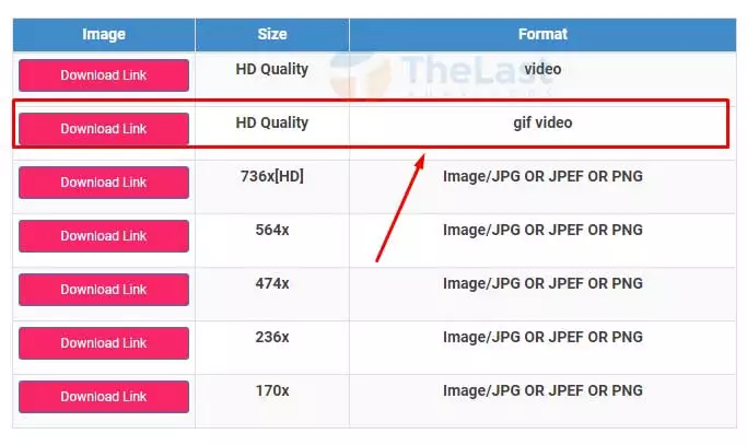Downnload Link Format GIF Video