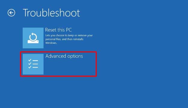Advanced Options Windows 10